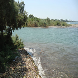 poi image