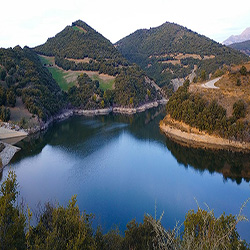 poi image