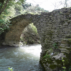 poi image