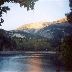 poi image