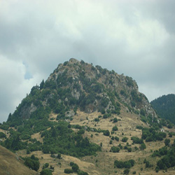 poi image
