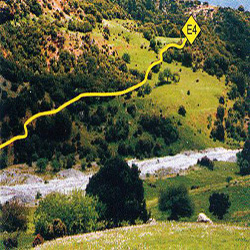 poi image