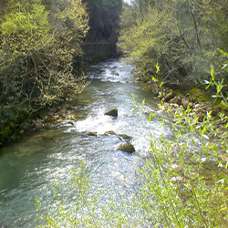 poi image