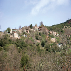 poi image