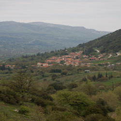 poi image