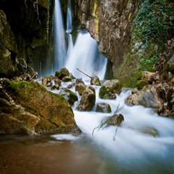 poi image
