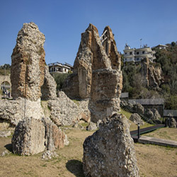 poi image