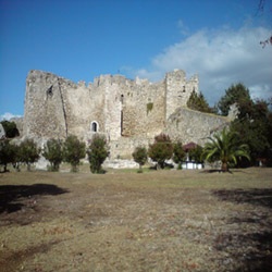poi image