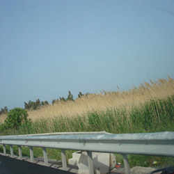 poi image