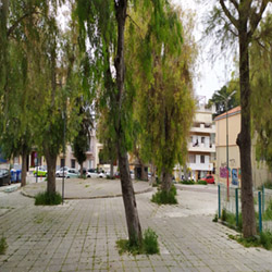 poi image