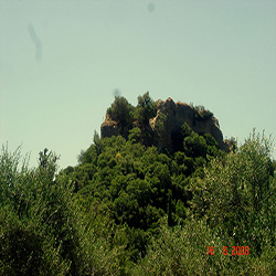 poi image