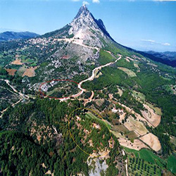 poi image