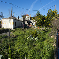 poi image