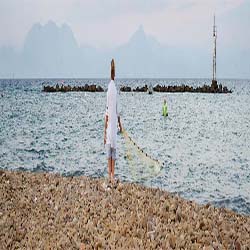 poi image