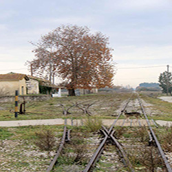 poi image