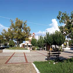 poi image