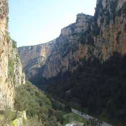 poi image