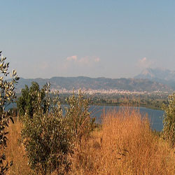 poi image