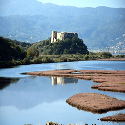 poi image