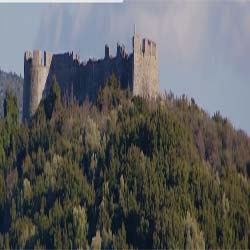 poi image