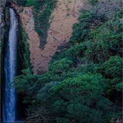 poi image
