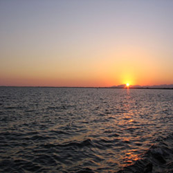 poi image