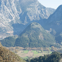poi image