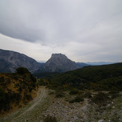 poi image