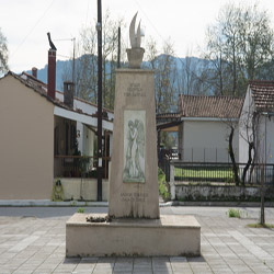 poi image