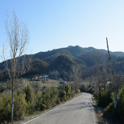 poi image