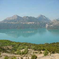 poi image