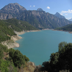 poi image