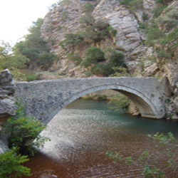 poi image