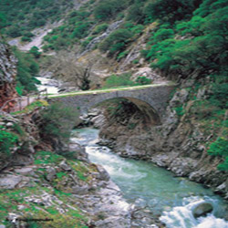 poi image