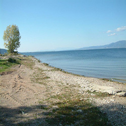 poi image