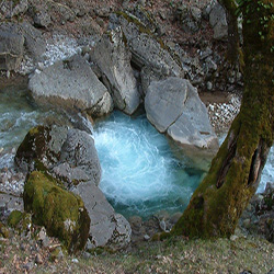 poi image