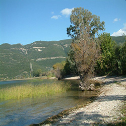 poi image