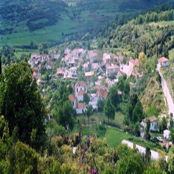 poi image