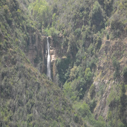 poi image