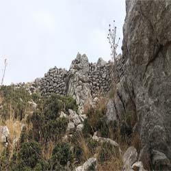 poi image