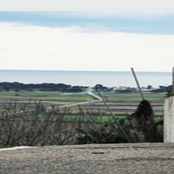 poi image