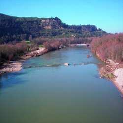 poi image