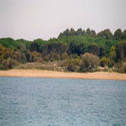 poi image