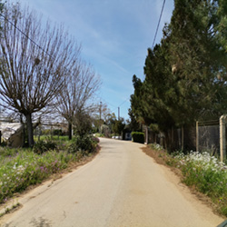 poi image