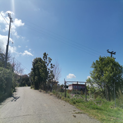 poi image