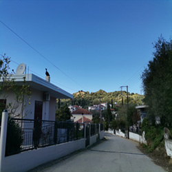 poi image