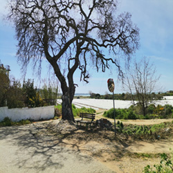poi image