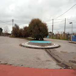 poi image