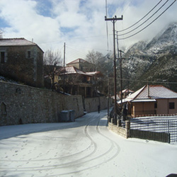poi image