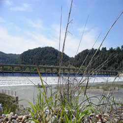 poi image